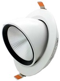 LED Scoop Downlights