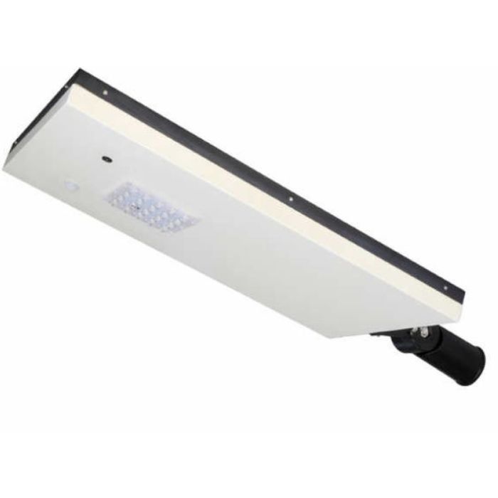 Solar Powered LED Security Light Watchman, 25W, w/Camera