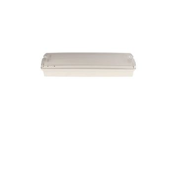 Z10 Granite Emergency LED Bulkhead, IP65, IK10, 5yrs
