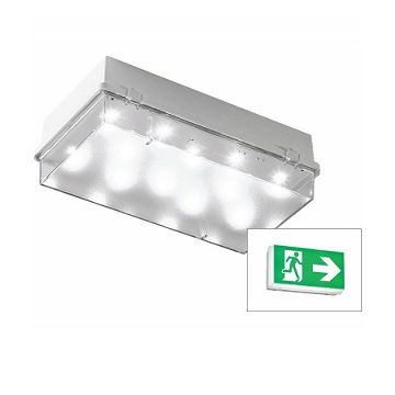 Cooper Zetalite 3, LED Emergency Bulkhead, 3W, IP65